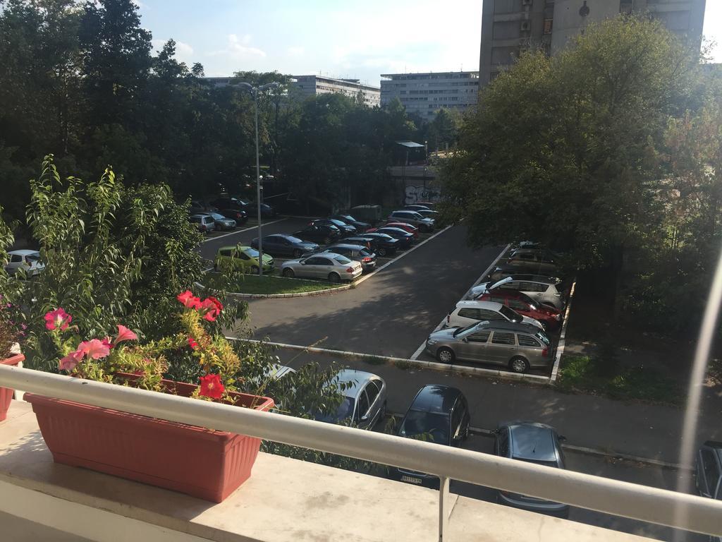 Lovely Apartment Belgrad Dış mekan fotoğraf